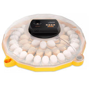 48 Egg Incubator, Fully Automatic (JN48) New 2024 Model