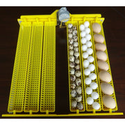 48 Egg Incubator, Fully Automatic (JN848)